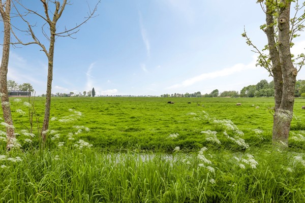 Medium property photo - Duifpolder 2A, 3155 CA Maasland